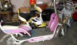 飞鸽自行车质量怎么样？老牌国货的可靠与隐忧